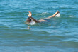 © yaroslav1986 - Man drowns in the sea on a sunny day, trying to ask for help with his hand