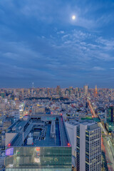 Poster - 東京都渋谷区の高層ビルから見た夜の東京の都市景観