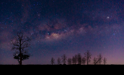 Wall Mural - blue night panorama, milky way sky and stars on dark background, universe filled with stars, nebula 