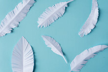 White Paper Feather Pattern On Blue Background.