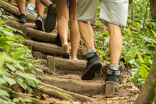 Close Dos Pés De Um Grupo De Pessoas Subindo Uma Escada De Troncos Na Trilha Com Vegetação Tropical Ao Redor