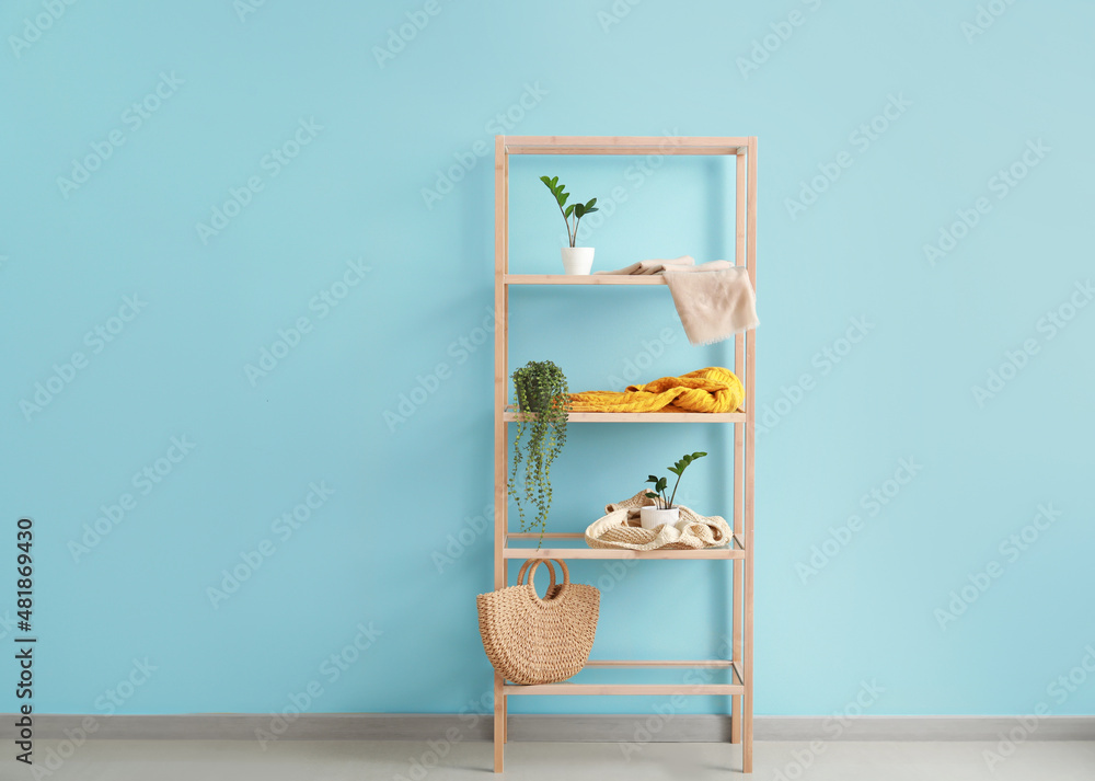 Wooden shelving unit with flowerpots near blue wall