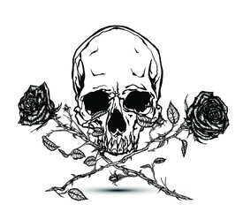 Hand drawn illustration of double red roses and skull in tattoo style design. Black and white illustration.