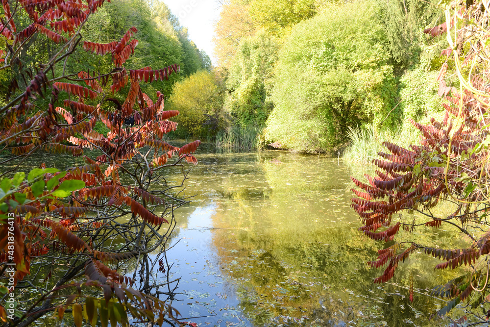 Beautiful view of lake in autumn park