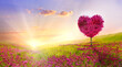 Tree of love in spring. Red heart shaped tree at sunset. Beautiful landscape with flowers.Love background with copy space