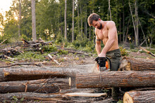 Working Hard. Firewood At Campsite. Outdoor Activity. Strong Muscular European Lumberjack Man With Electric Saw. Shirtless Woodcutter Man Carry Equipment. Sexy Caucasian Guy In Forest