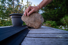 Person Planting In Garden. Hand On Stone.