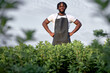 © Roman - excited american farmer in uniform harvesting from hydroponics vegetable farm in greenhouse garden in morning, alone. Agriculture organic for health, Vegan food, Small business concept.