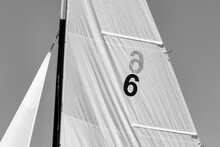 Boat Sails Filled In The Wind, Black And White