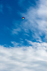 Wall Mural - colorful kites flying over the sky