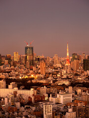 Fototapete - 東京タワーと都心の夕暮れ