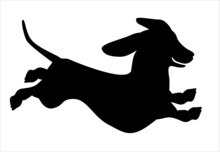 Dachshund Silhouette Of A Running Smiling Dog On A White Background