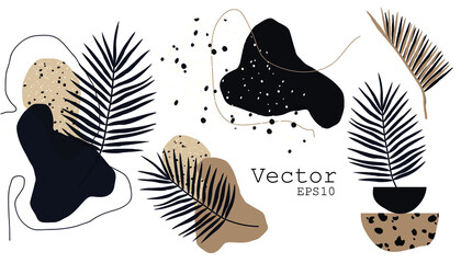 Botanical minimal and natural abstract shape vector set.  Boho foliage line art drawing. Abstract plant art design for print, creating collages, wallpaper, cover. Aesthetic drawing clip art 
