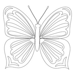 Wall Mural - butterfly, contour sketch on white background, isolated