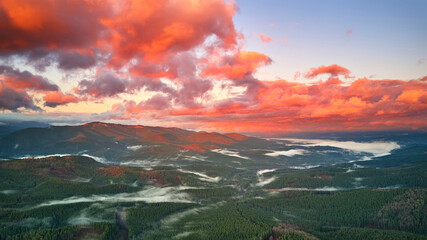 Wall Mural - Colorful autumn sunrise over foggy woodland. Forest covered by low clouds. Fall rural landscape.