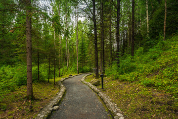 Wall Mural - Path through the landscaped park