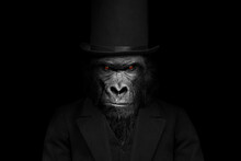 Man In The Form Of A Gorilla Mammal , The Gorilla Person , Animal Face Isolated Black White
