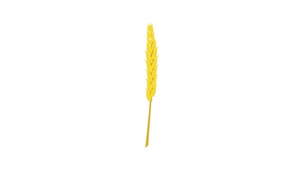 Poster - Wheat icon animation best cartoon object on white background