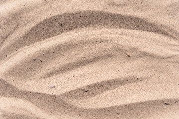 Wall Mural - Sand surface with lines and soft gradation of light and shadow - sandy background