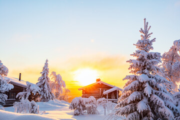 Canvas Print - Winter landscape in Finland