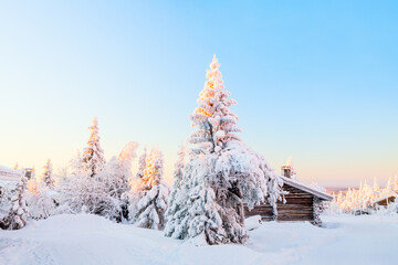 Wall Mural - Winter landscape in Finland