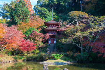 Wall Mural - 京都　浄瑠璃寺（じょうるりじ）の三重塔と紅葉