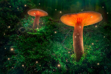 Glowing Mushrooms And Fireflies On Moss In Forest At Dusk.