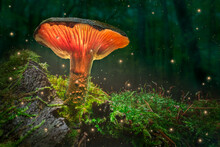 Magical Forest And Glowing Mushrooms With Fireflies At Dusk.