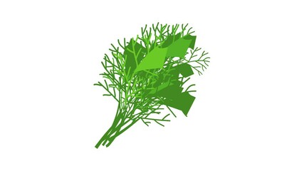 Sticker - Dill icon animation best cartoon object on white background