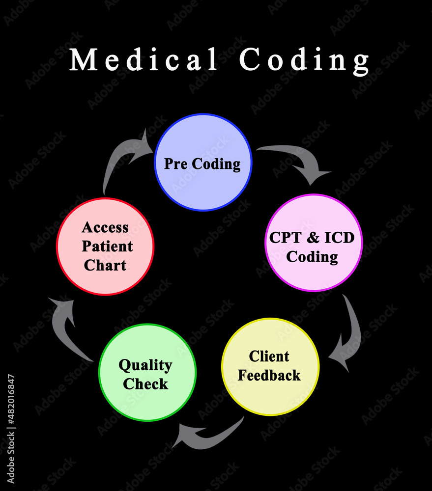 Five Components of Medical Coding Stock Illustration | Adobe Stock