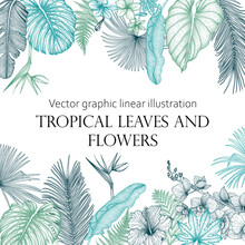 Vector Illustration Of The Banner Template Graphic Linear Colored Tropics. Orchid, Palm Leaves, Hibiscus, Monstera, Plumeria, Banana Leaves, Fern, Strelitzia, Aralia, Elephant Ear Leaves