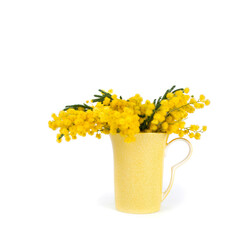 Wall Mural - Branches of mimosa (acacia) tree with yellow flowers in a yellow cup isolated on a white background.