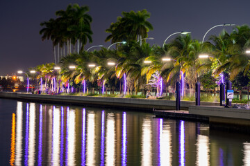 Wall Mural - Miami night scene by the river