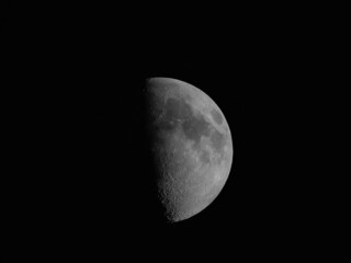 Wall Mural - first quarter moon