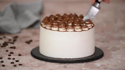 Wall Mural - Woman hands cutting delicious tiramisu cake.