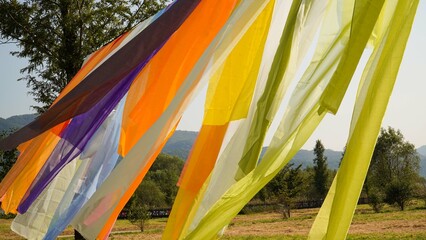 Five colorful streams that enjoy the wind