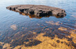 © Alexey Antipov - Large flat stone in lake in summer, Karelia, Russia