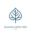 quaking aspen tree icon from nature collection. Thin linear quaking aspen tree, quaking, flora outline icon isolated on white background. Line vector quaking aspen tree sign, symbol for web and mobile