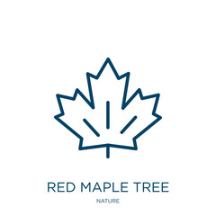 Wall Mural - red maple tree icon from nature collection. thin linear red maple tree, fall, leaf outline icon isol