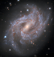 Wall Mural - esa/hubble galaxy ngc 2525. pictured here is the captivating galaxy ngc 2525.
