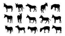 Black Silhouettes Of Donkeys On A Separate Background. Vector Elements For Design