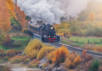 Wall Mural - Retro steam train moves along the lake at autumn morning. Karelia.