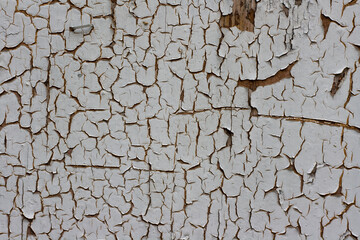 Canvas Print - Rusty wall texture