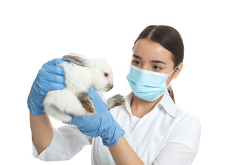 Wall Mural - Scientist holding rabbit on white background. Animal testing concept