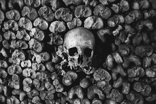 Human Skulls And Bones. Human Remains. Morbid Art. Dark Tourism.