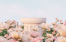 Natural Beauty Podium Backdrop With Spring Rose Flower Field Scene. 3d Rendering. 