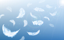 White Feathers Fly In Air On Blue Sky Background