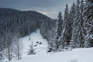 Wall Mural - beautiful winter views of the high tatra mountains with tourists, skiers and amazing states of natur