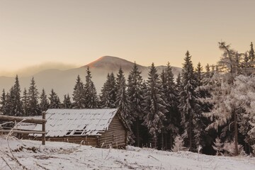 Wall Mural - beautiful winter views of the high tatra mountains with tourists, skiers and amazing states of natur