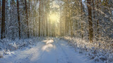 Fototapeta Krajobraz - Zima w północno-wschodniej Polsce na Mazurach